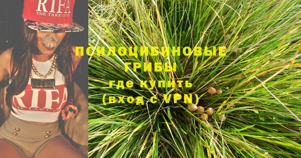 первитин Богданович