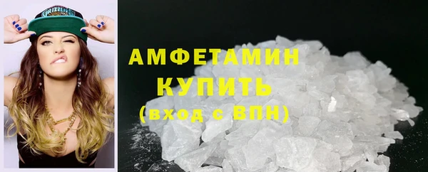 крисы Богородицк