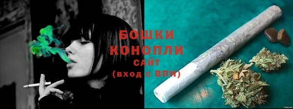 крисы Богородицк