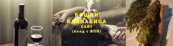 крисы Богородицк
