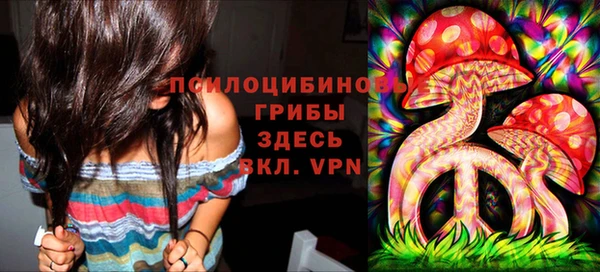 синтетический гашиш Богородск