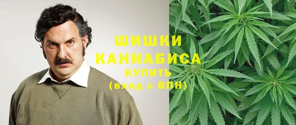 крисы Богородицк