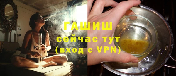 крисы Богородицк