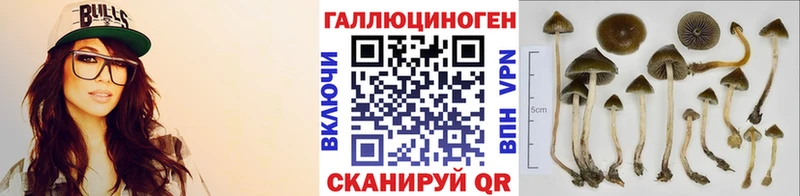 Псилоцибиновые грибы MAGIC MUSHROOMS  наркота  Пенза 